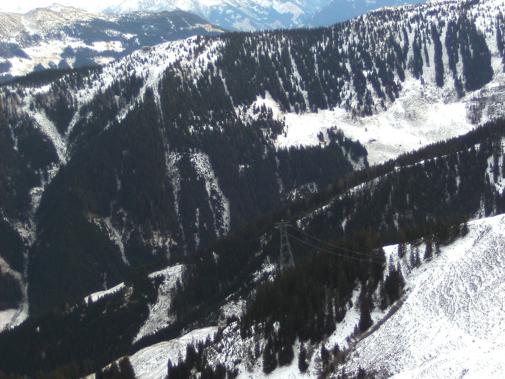 bild0238ngutn.jpg