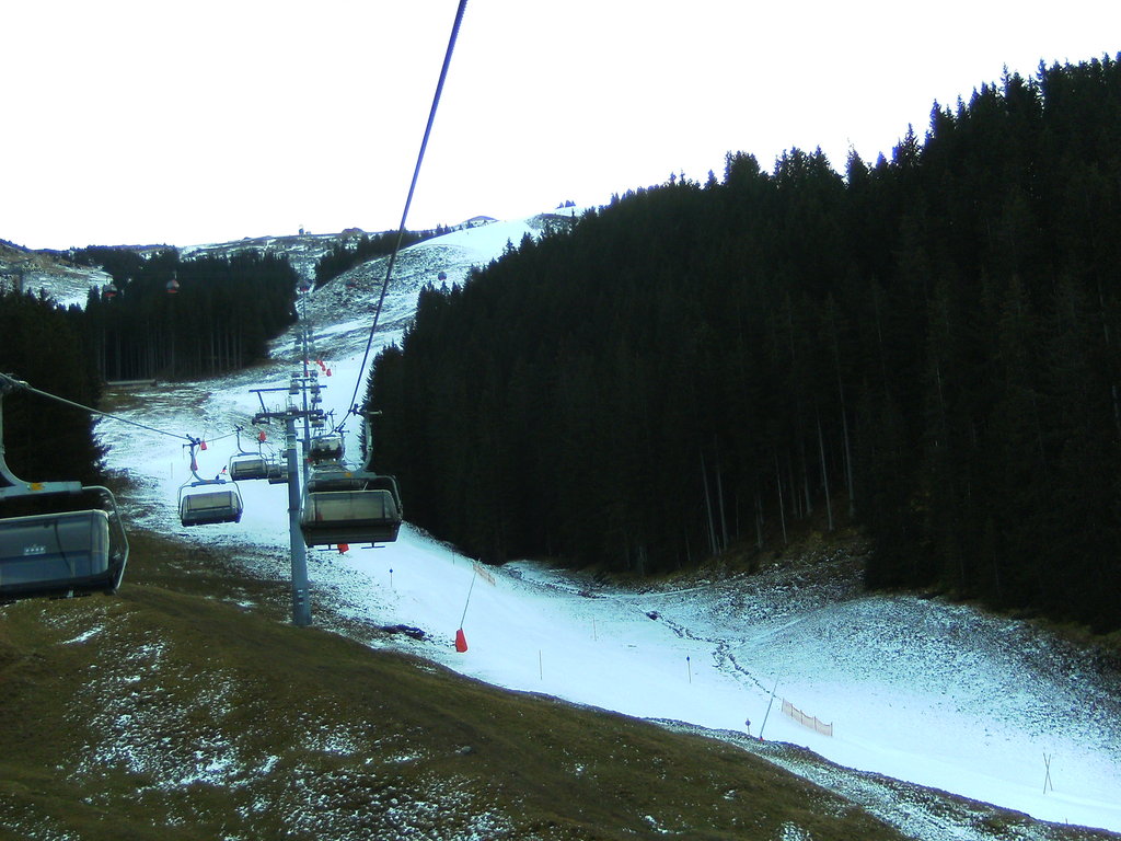 bild02632cava.jpg