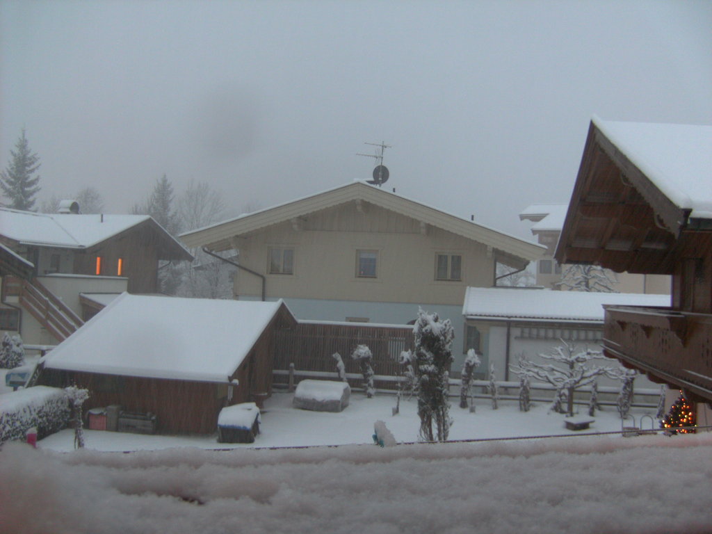 bild0269h3xxi.jpg