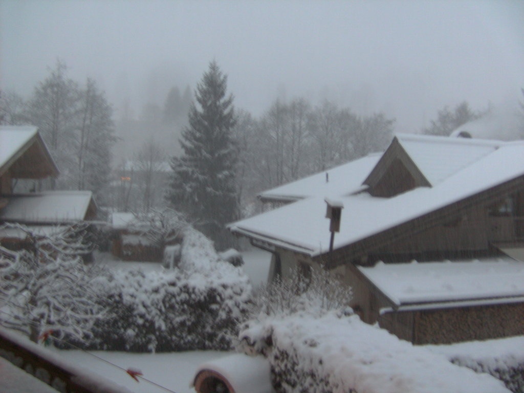 bild0270usyti.jpg