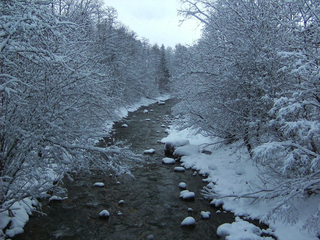 bild02720dxwl.jpg