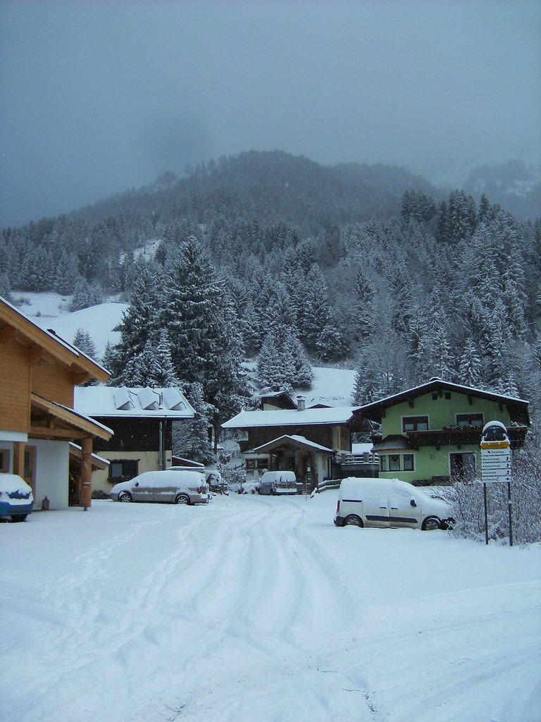 bild0273phayq.jpg