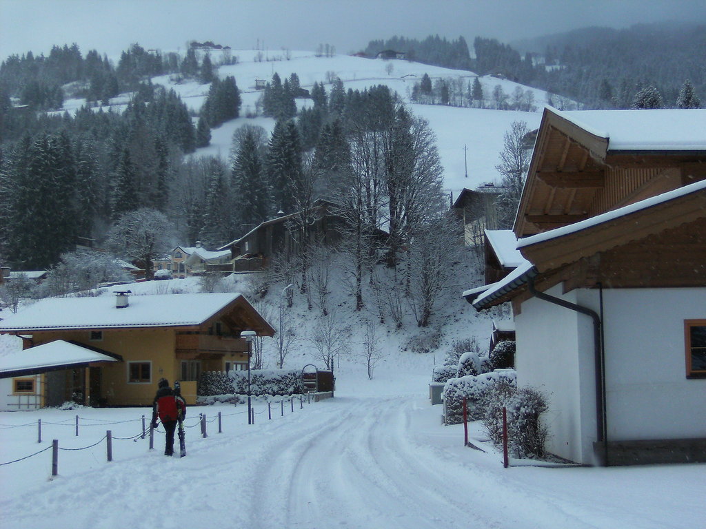 bild0274i6y6t.jpg