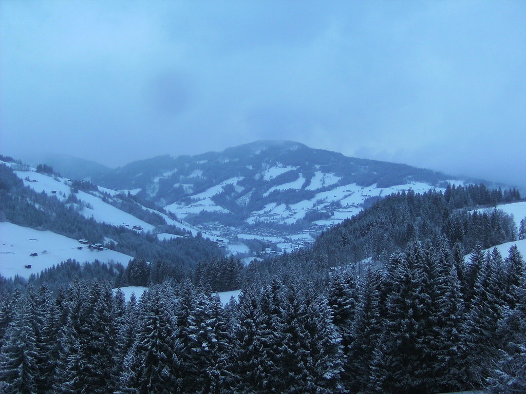 bild0275v9bqk.jpg