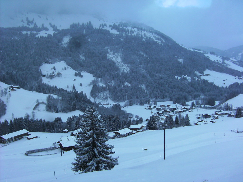 bild0277wmbca.jpg