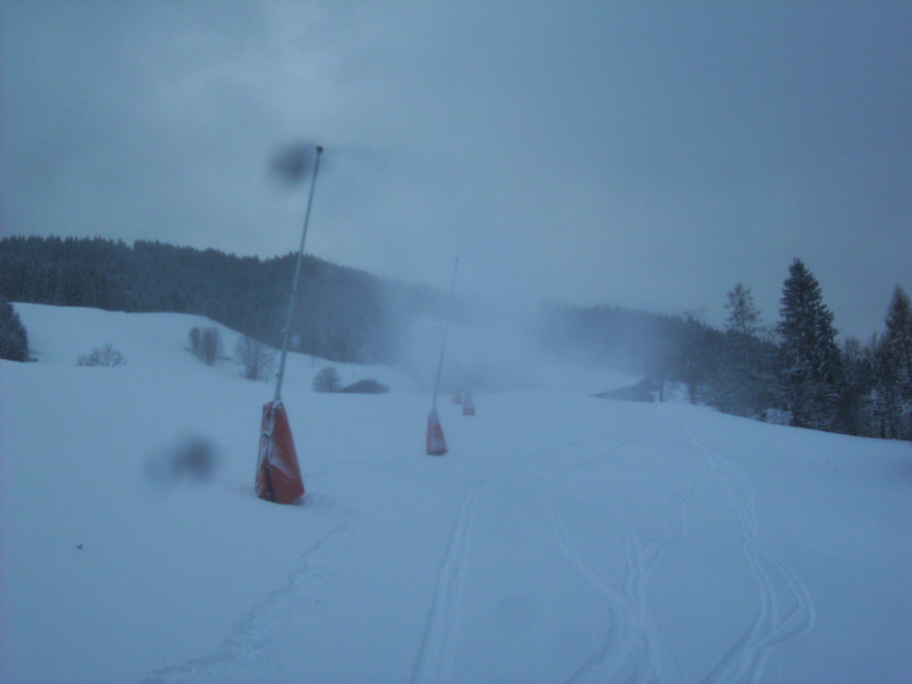 bild0279uox8e.jpg