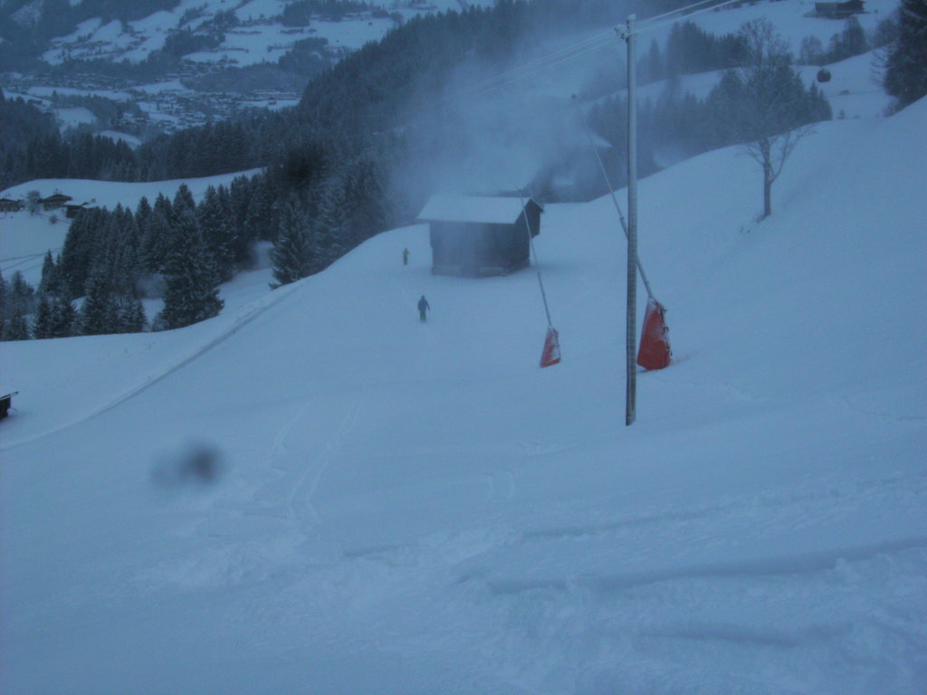 bild02800sa8t.jpg