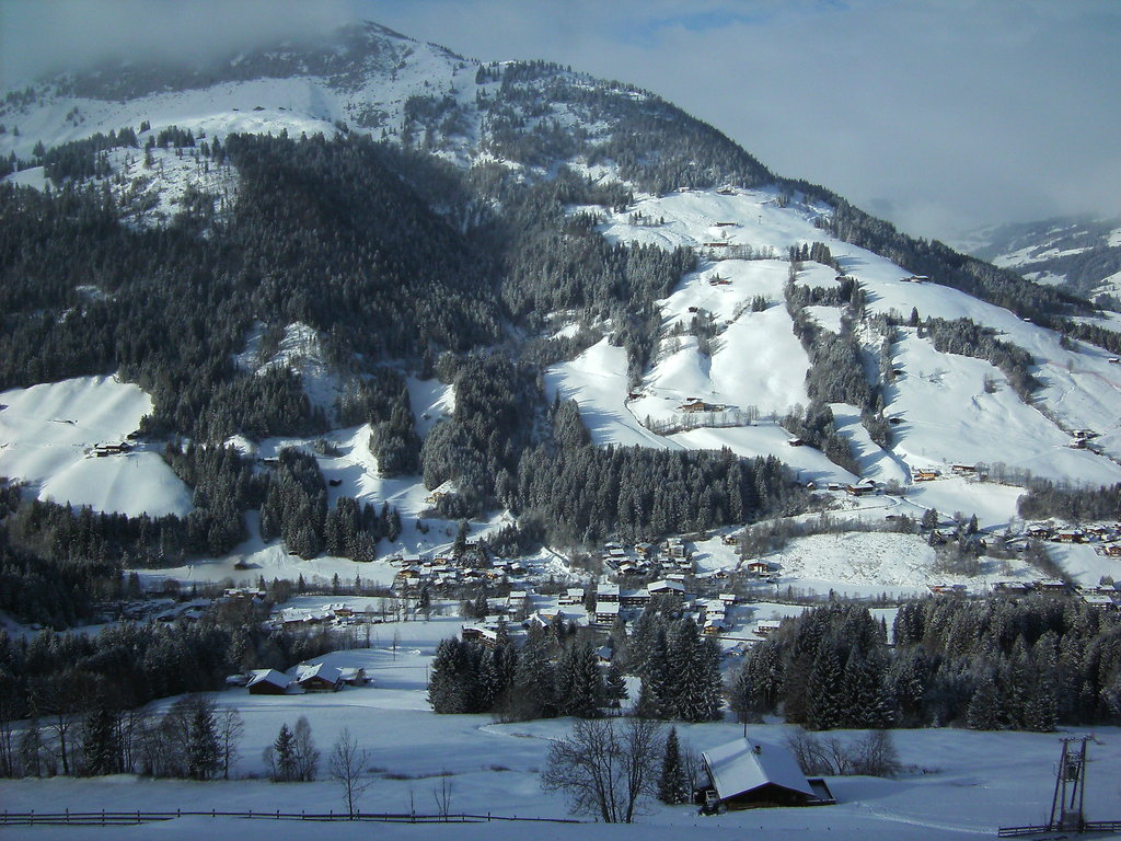 bild0281pfz53.jpg