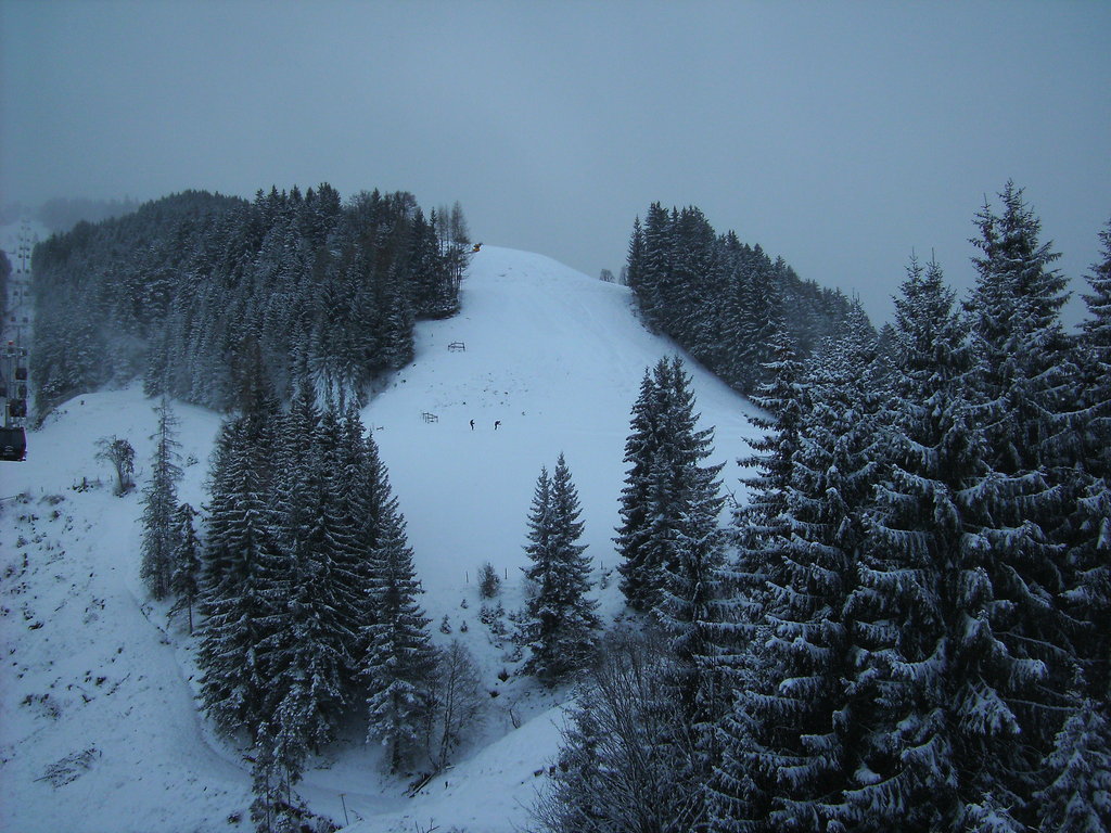 bild0285g5ys0.jpg