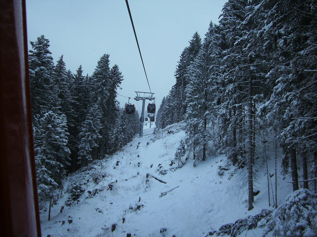 bild0288vqbp5.jpg