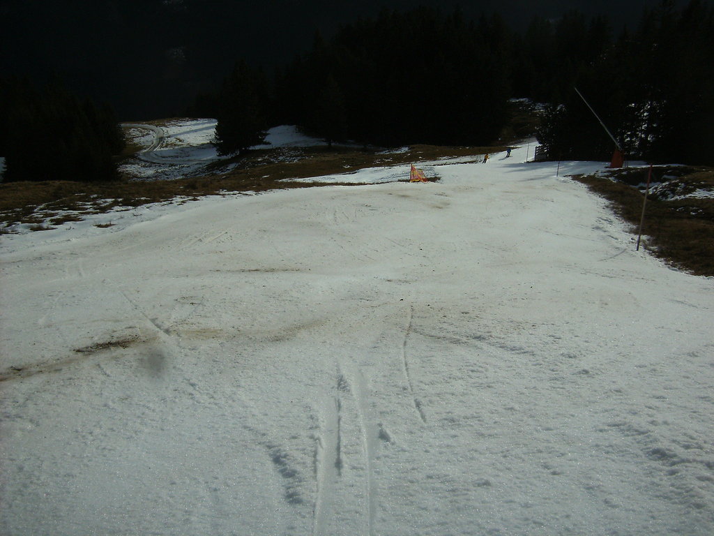 bild0538v6sgl.jpg