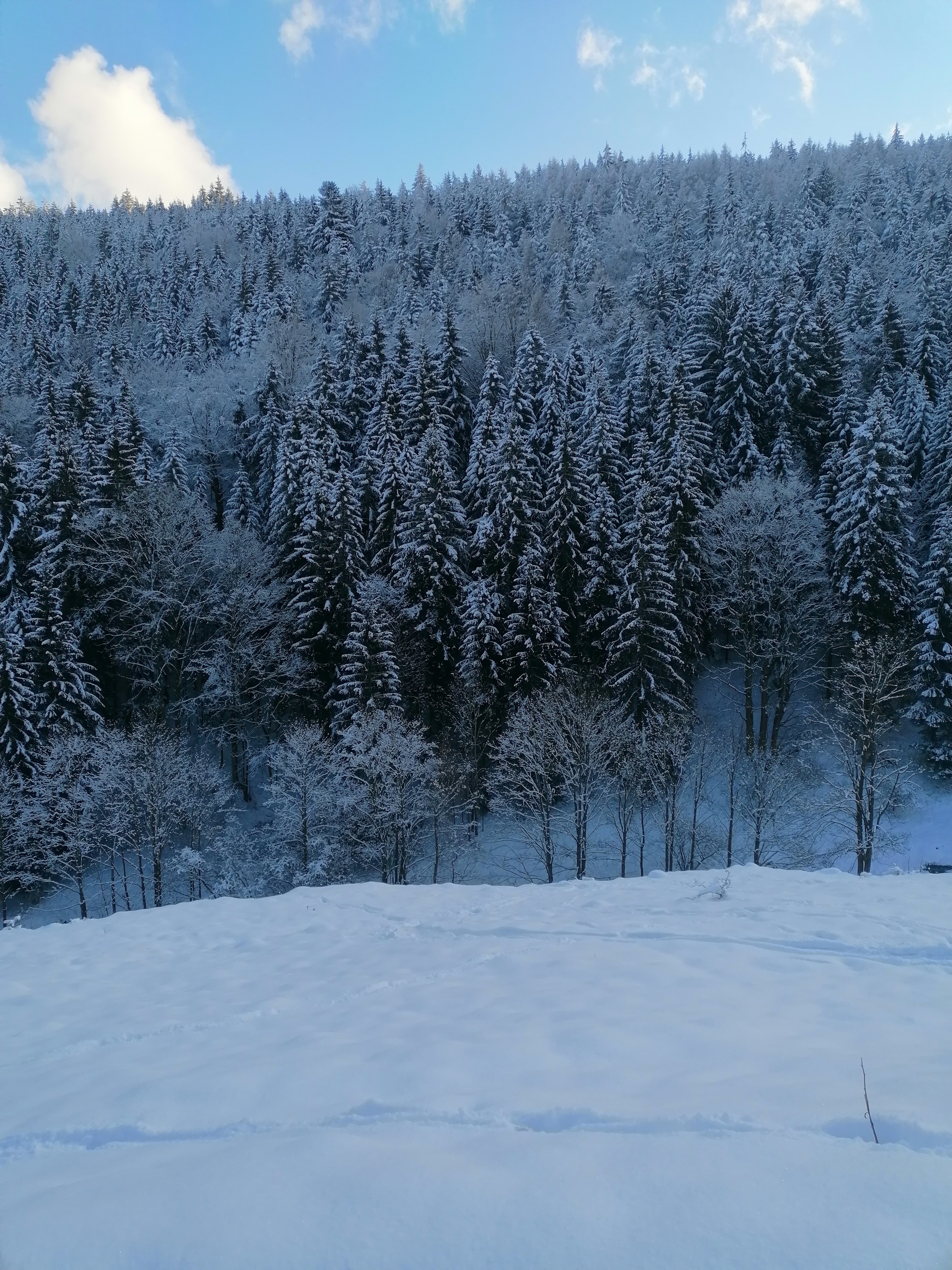 oberhalbgrund65kxp.jpg