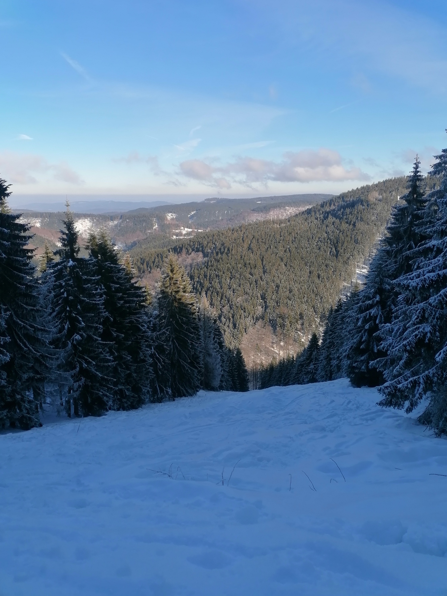schneekopf-schneiseble0kr7.jpg