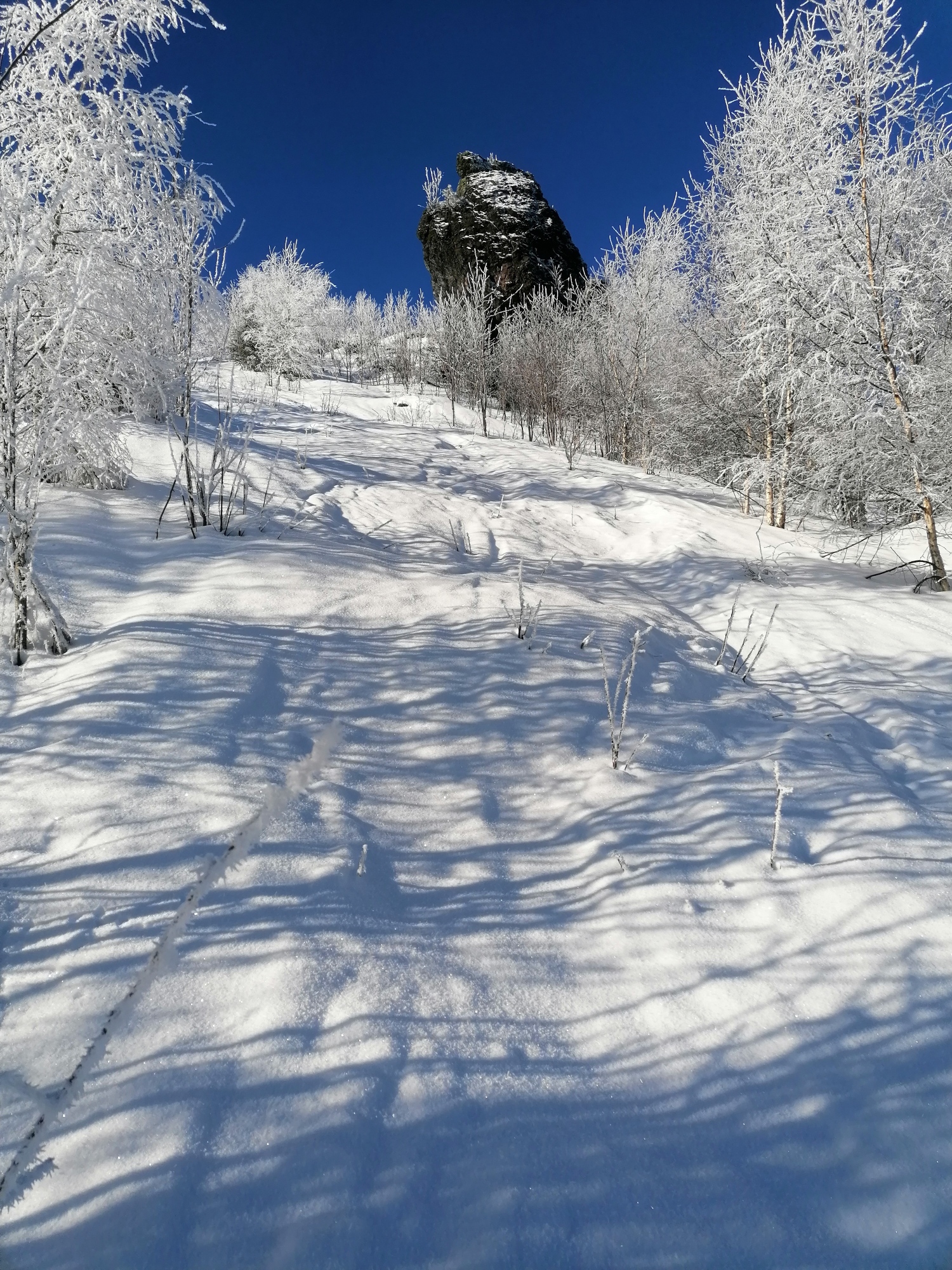schneiseunterhalbfelsgrj49.jpg