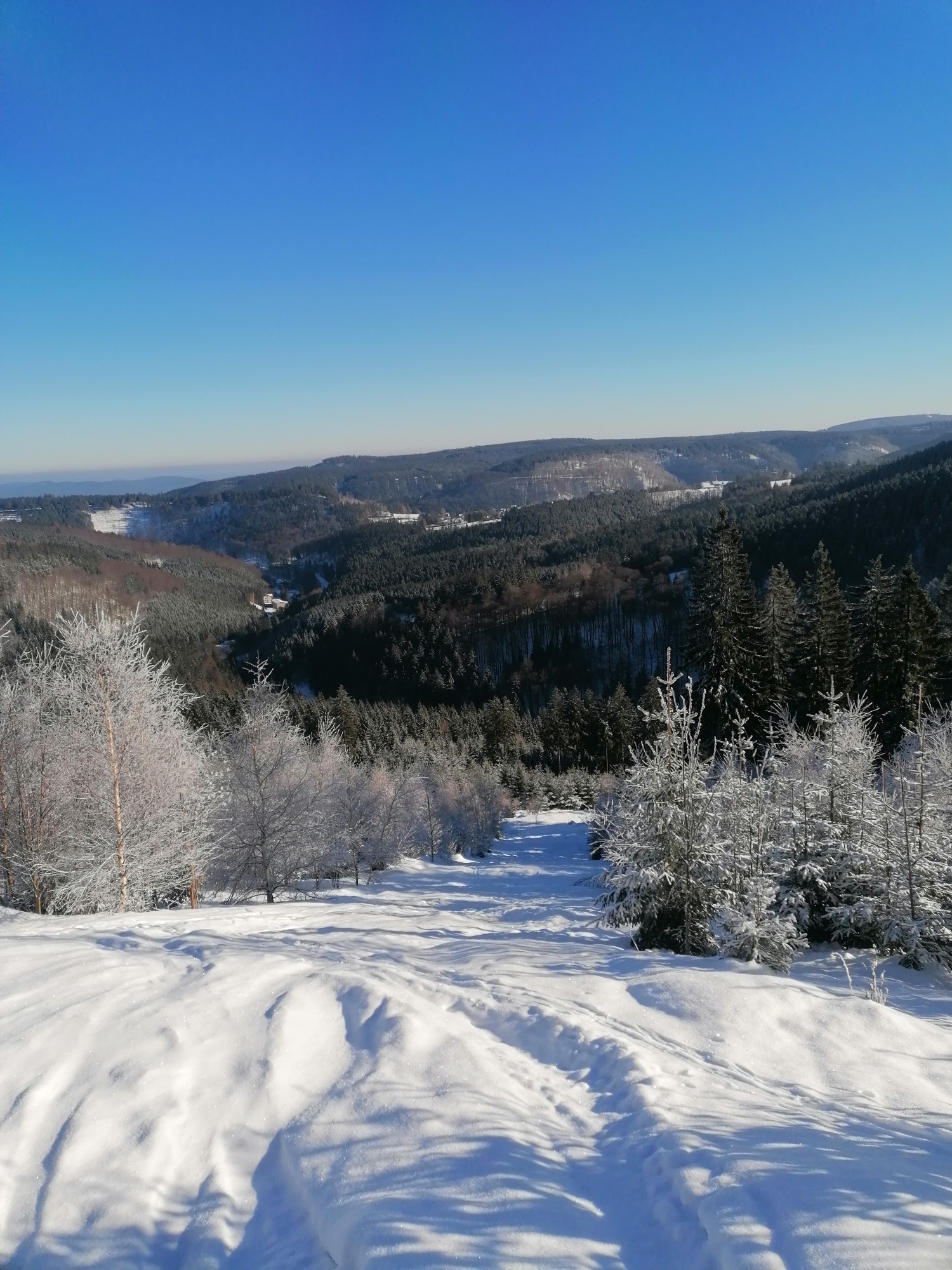schneiseunterhalbfelstykbp.jpg
