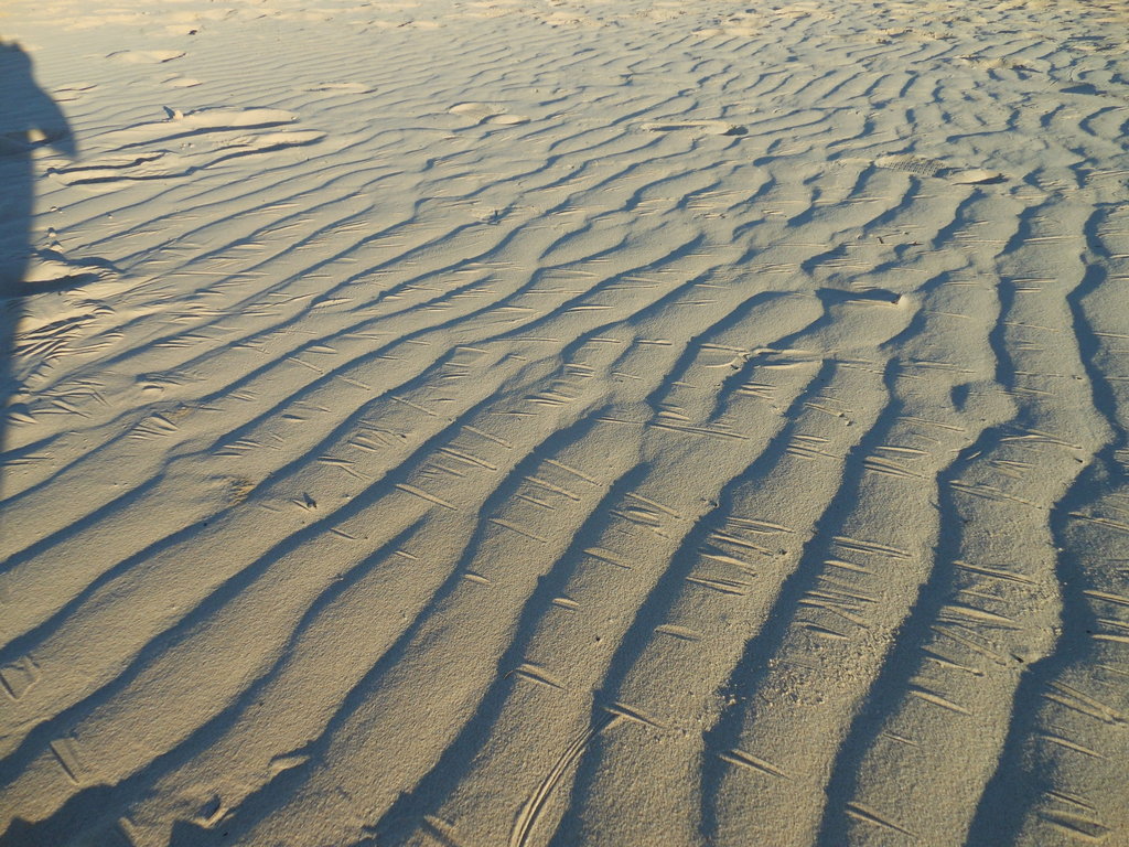 dscn11300zc9e.jpg
