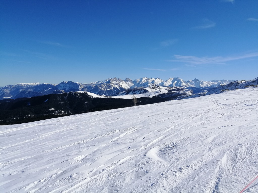 img_20190217_1201028jkrk.jpg