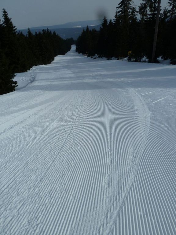 k-p1060765exzh8.jpg