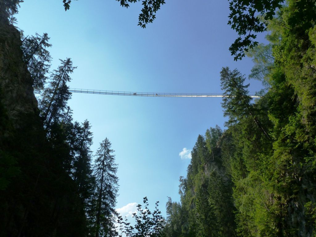 k-p1080049mdkgy.jpg