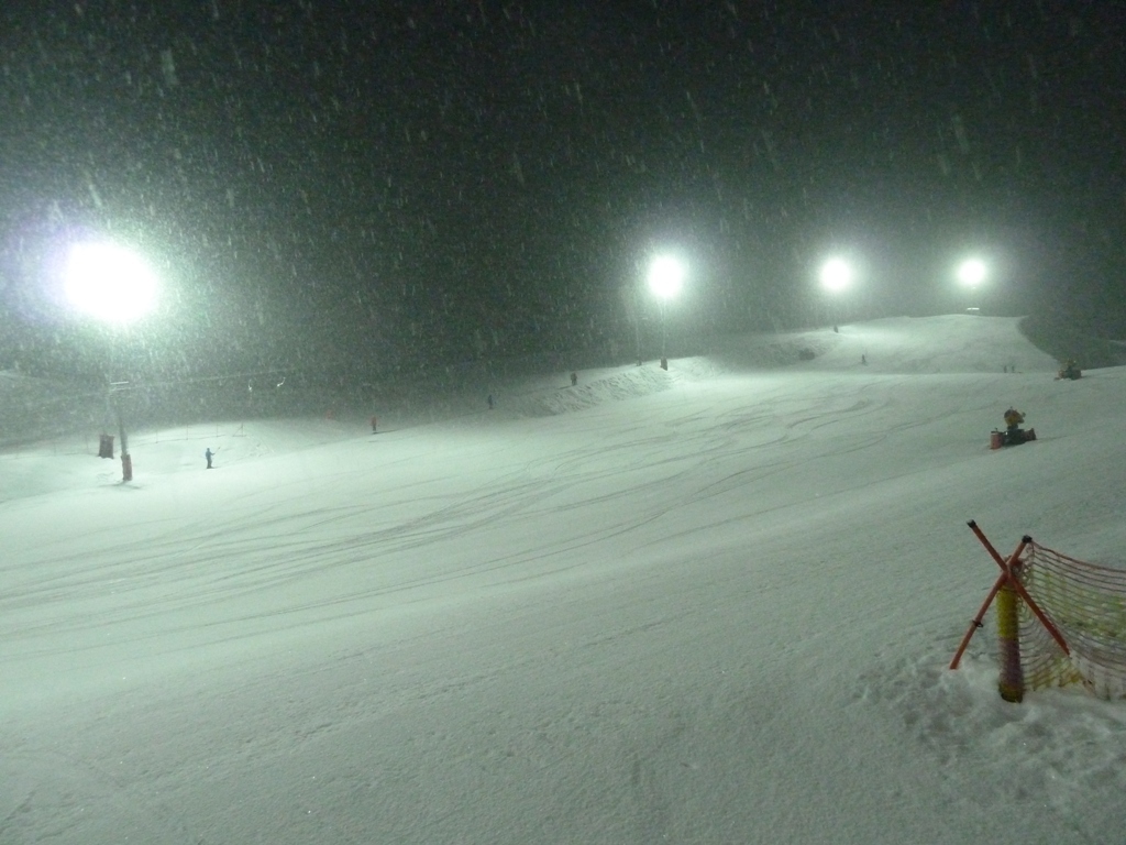 p1060597b8fx9.jpg