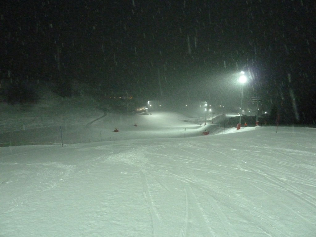 p1060599yfiv0.jpg