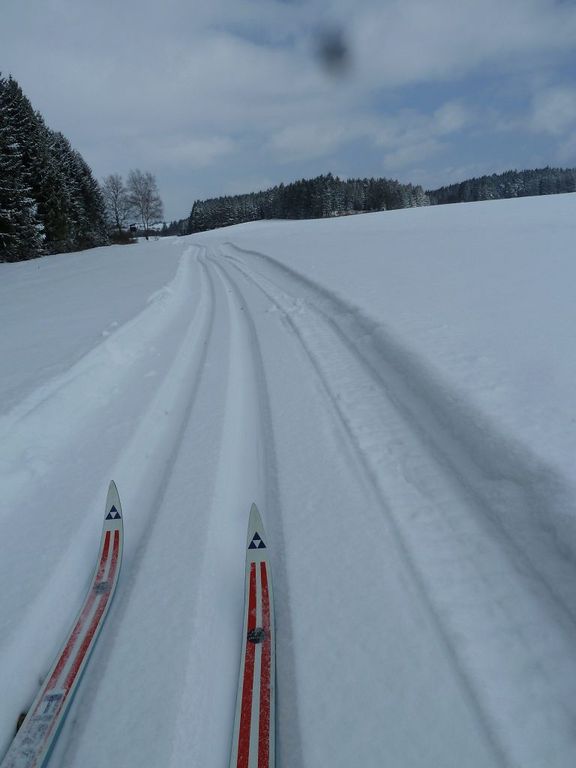 p1060630n9k9t.jpg