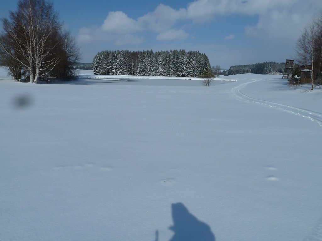 p1060646vgk57.jpg