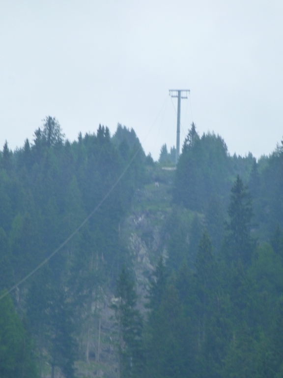 p1070202vfunx.jpg