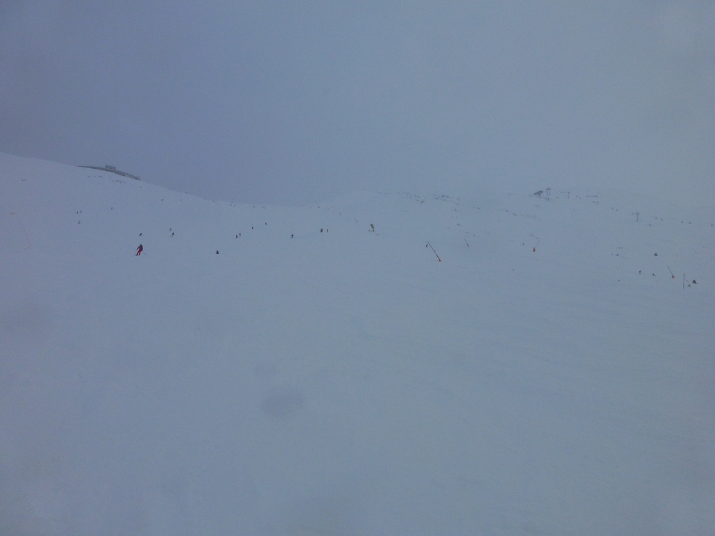 p1090136uwsgi.jpg