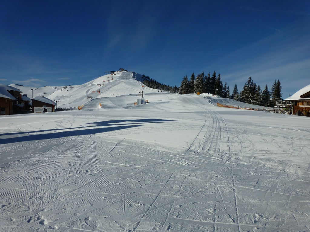 p11401232sj2j.jpg