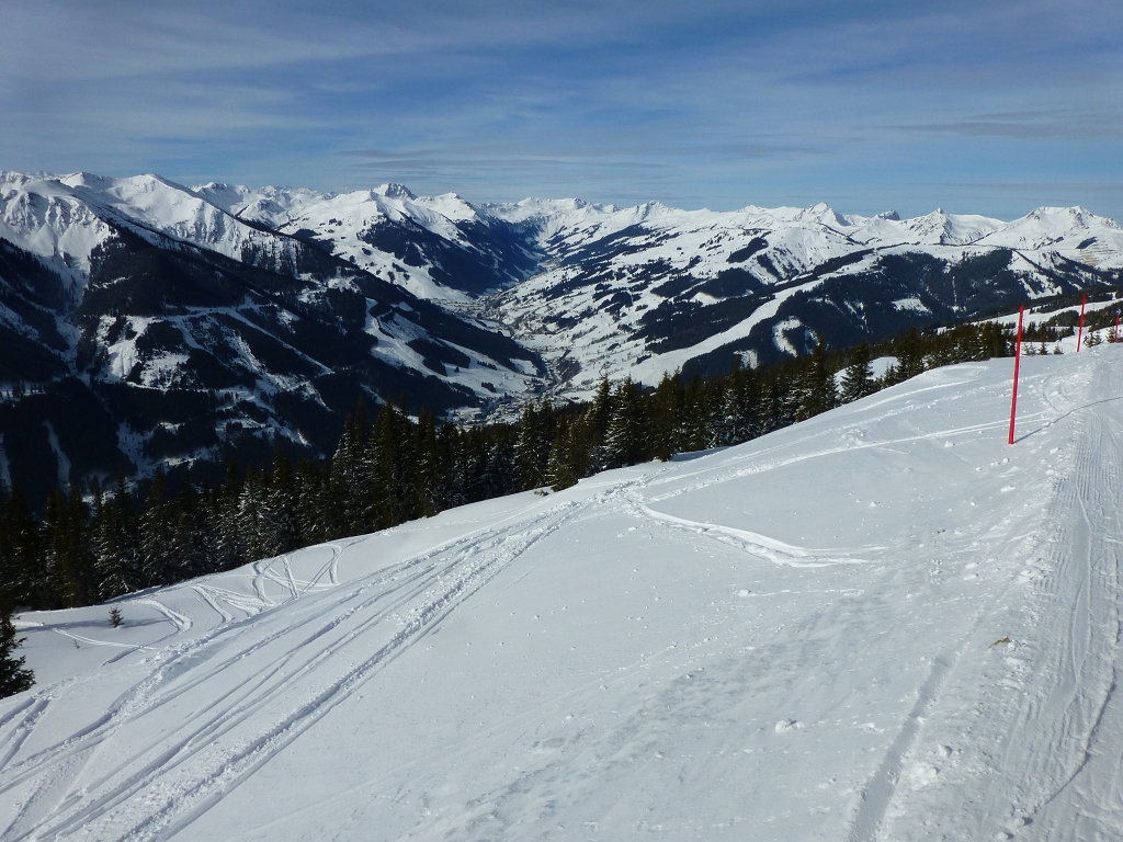 p1140132wojsf.jpg