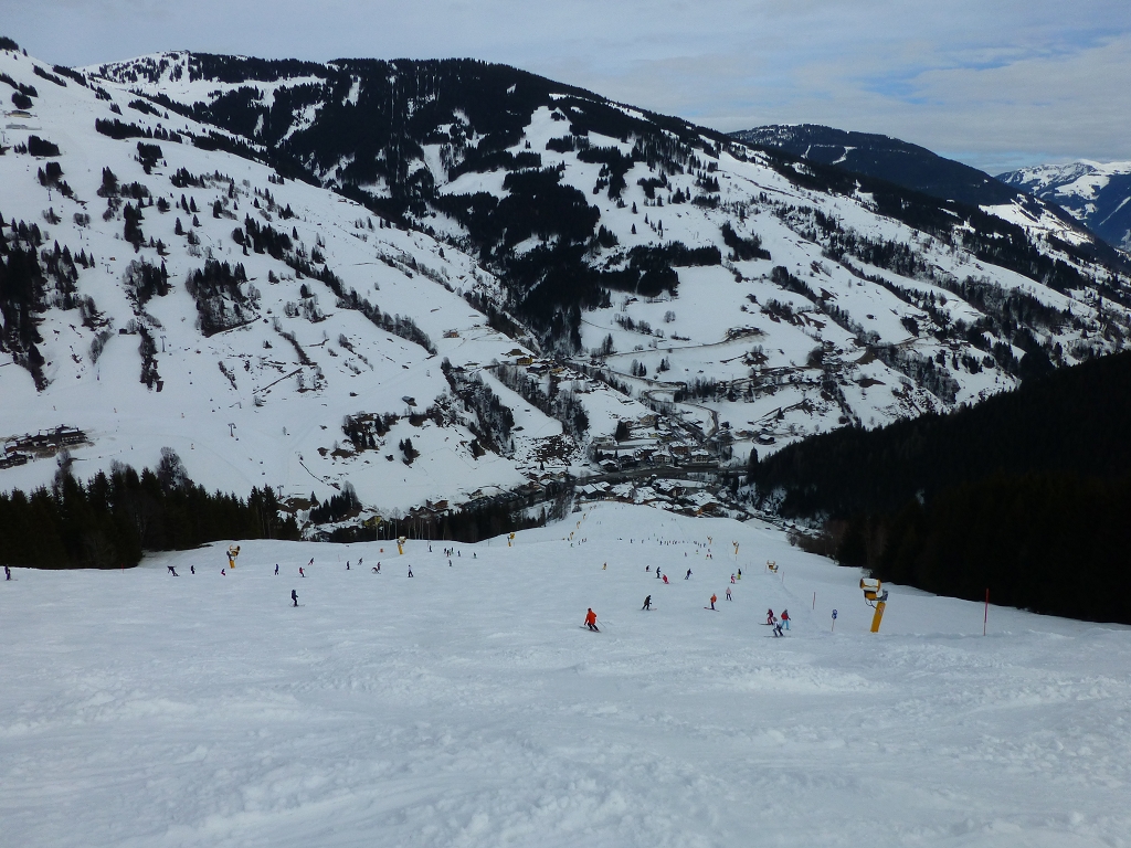 p1140164mfjj6.jpg
