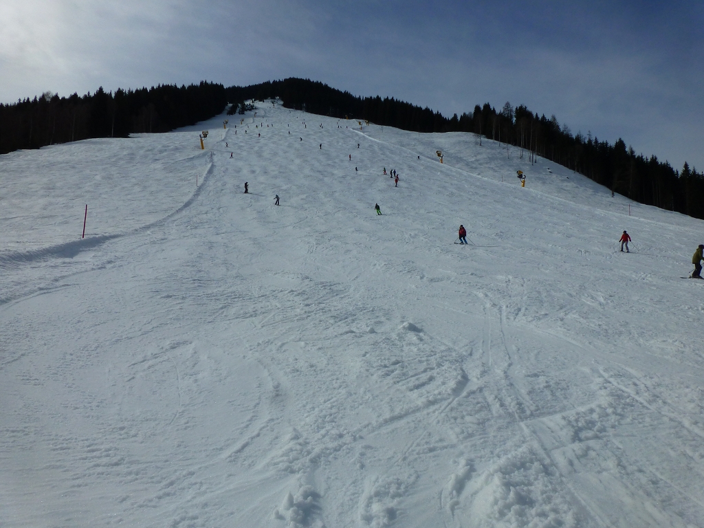 p1140165eyk4m.jpg