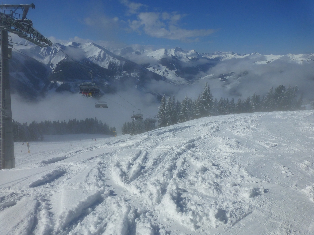 p1140314fikok.jpg