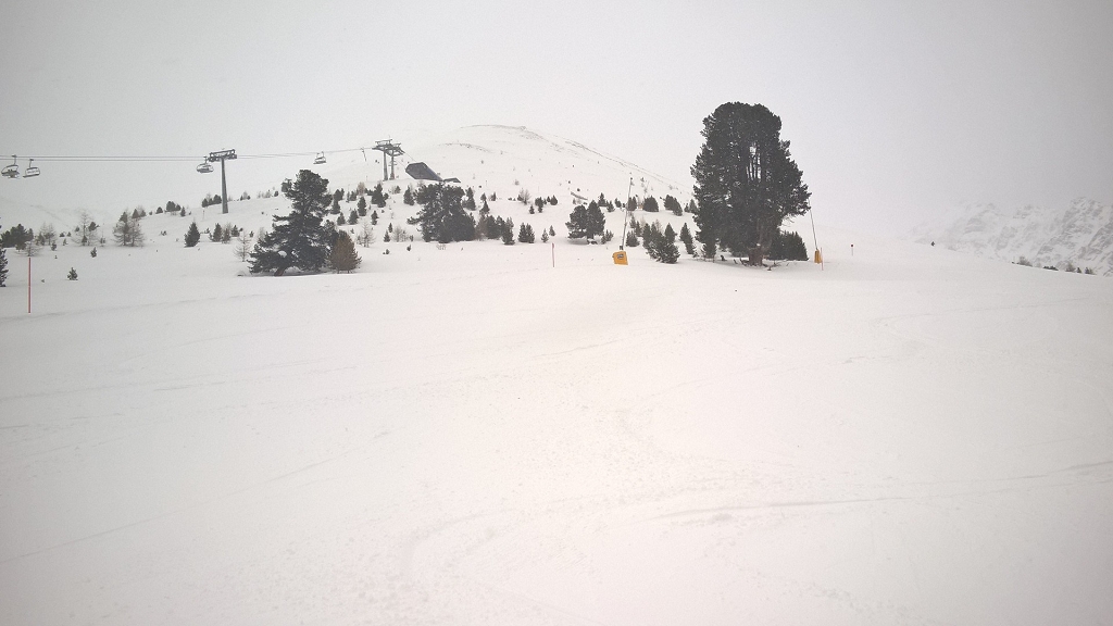 wp_20180117_10_17_38_xfsvt.jpg
