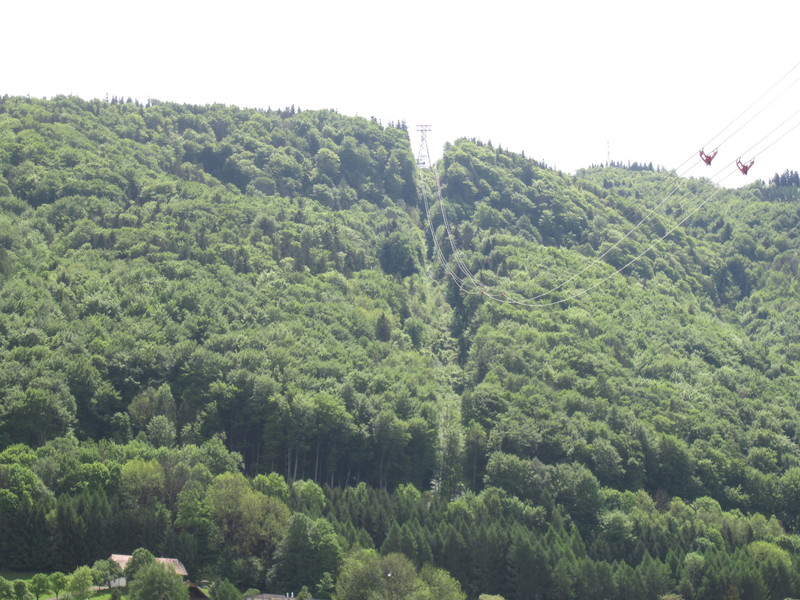 img_6971iylk9.jpg