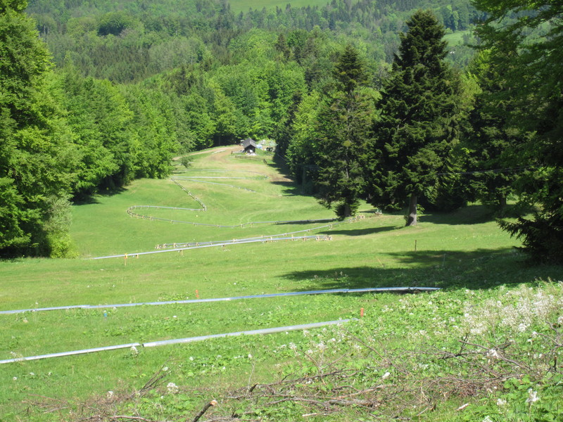 img_7069oqego.jpg