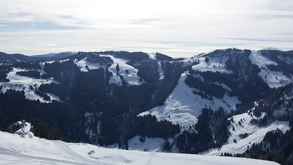 20150408_095121vvbfy.jpg
