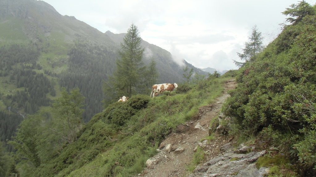 cimg2605hoit8.jpg