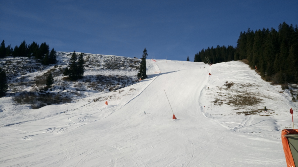 dsc_0986faqkd.jpg