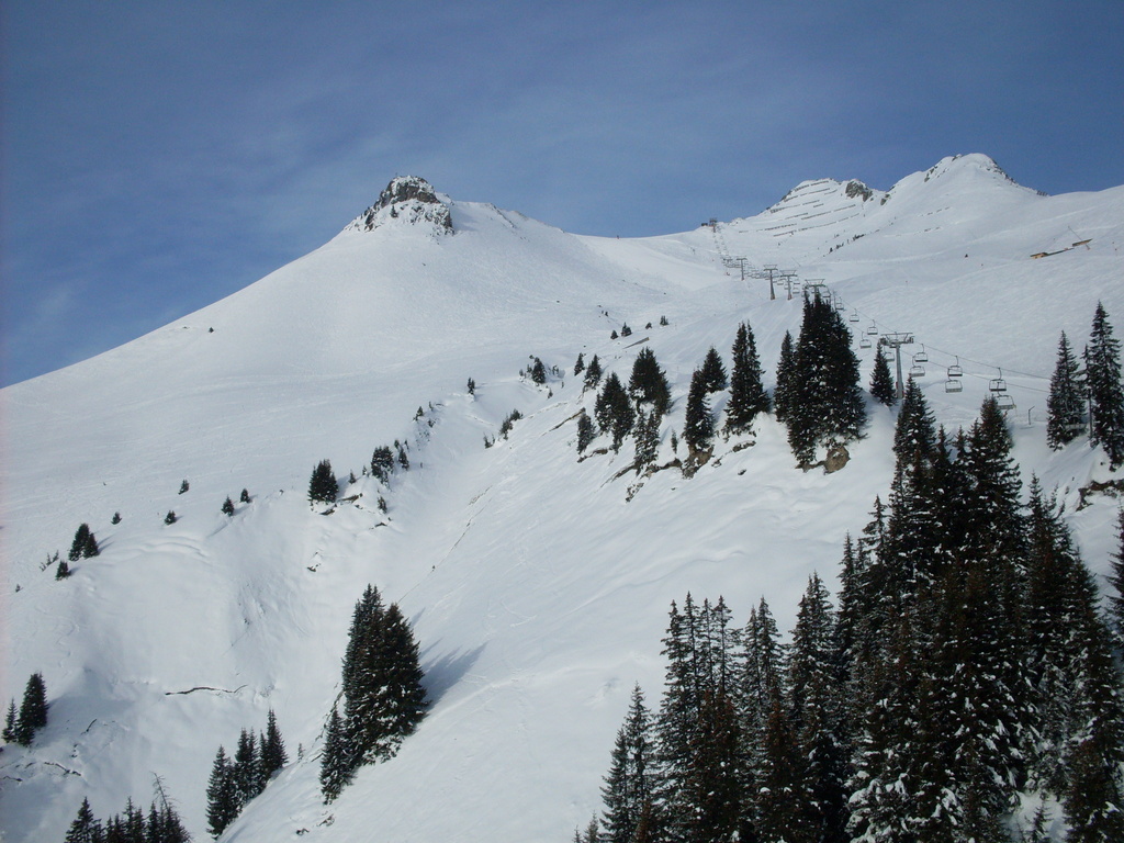 sdc133441tcae.jpg