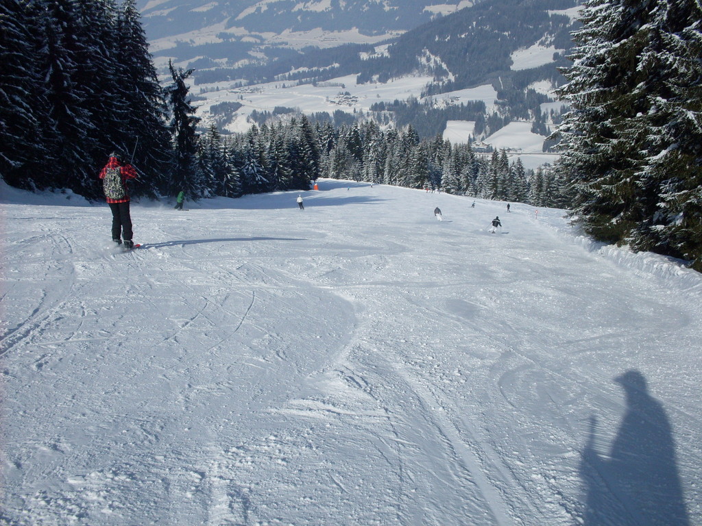 sdc133892yi5v.jpg