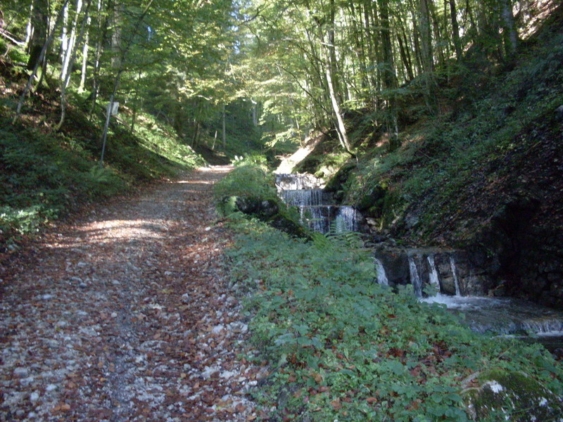 sdc14601b4xa4.jpg