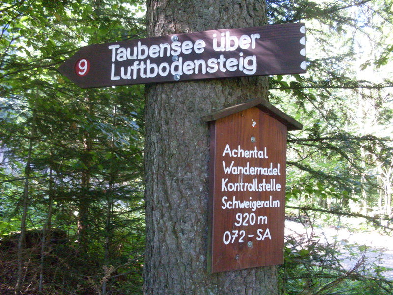 sdc14603qbam1.jpg