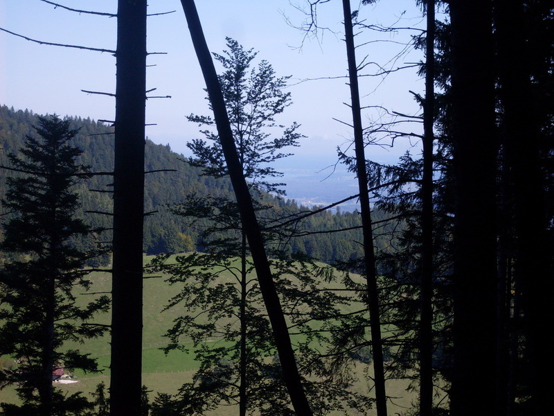 sdc14612zraov.jpg