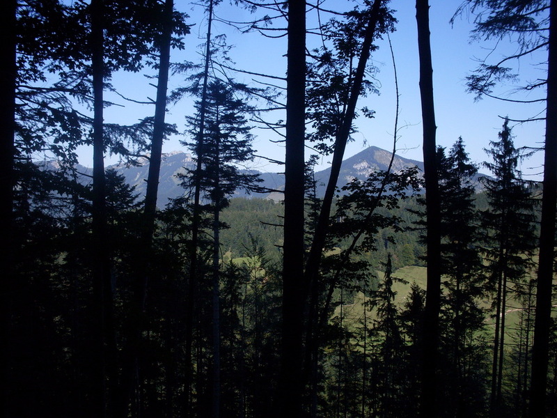 sdc14613yclwd.jpg