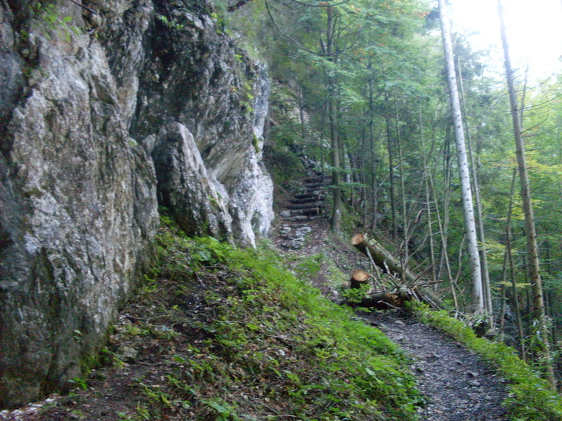 sdc1461436bv5.jpg