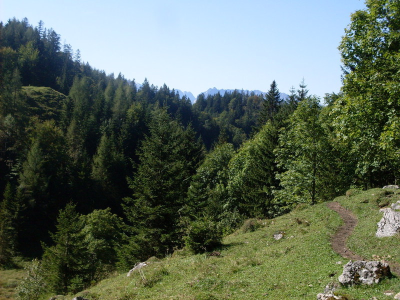 sdc14618eczj7.jpg