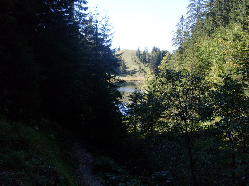 sdc14621icle2.jpg