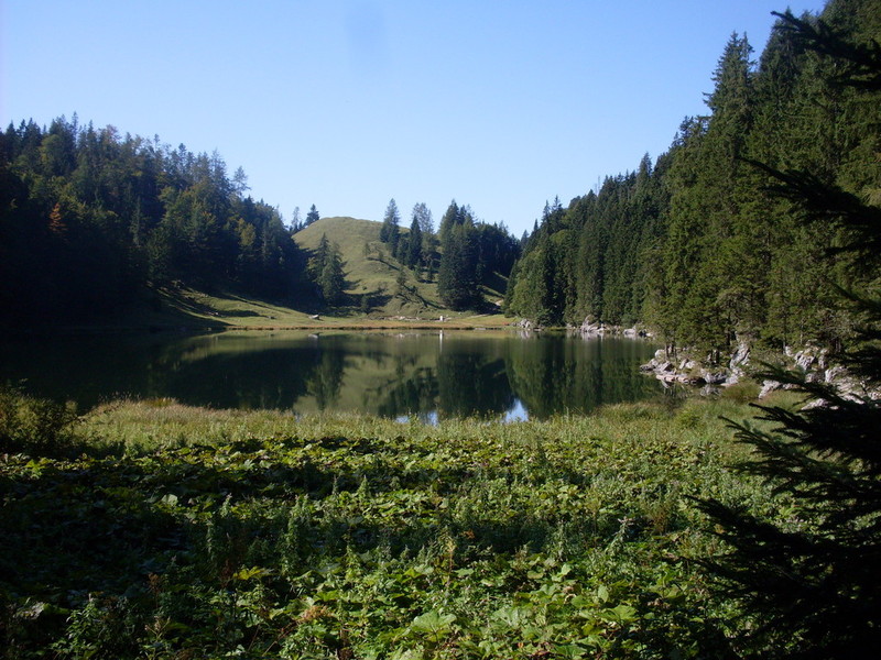 sdc14622qraad.jpg